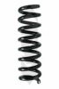 SPIDAN 86885 Coil Spring